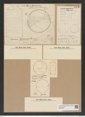 Cerataulus levis var. sinensis [sic] Grun. (de-Toni-Nr.: Genus 173, Species 4435) Zeichnungen Sammlung Grunow Nr. 8006 (NHMW-BOT-W0377303)